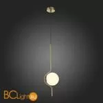 Подвесной светильник ST Luce Forcio SL1126.203.01 - Фото 2