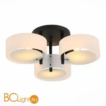 Потолочная люстра ST Luce Foresta SL483.402.03