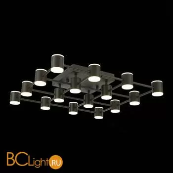 Потолочный светильник ST Luce Formolla SL1597.402.16 - Фото 2