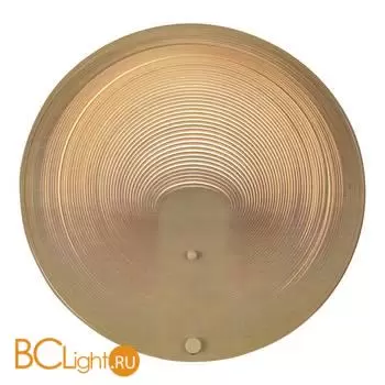 Настенный светильник ST Luce Fossil SL6900.501.16