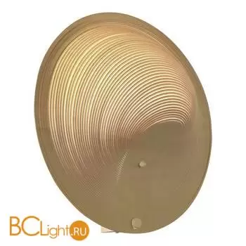 Настенный светильник ST Luce Fossil SL6900.501.16 - Фото 1