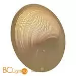 Настенный светильник ST Luce Fossil SL6900.501.16 - Фото 1