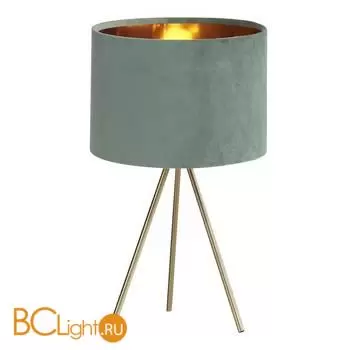 Настольная лампа ST Luce FUEGO SL6242.704.01