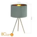 Настольная лампа ST Luce FUEGO SL6242.704.01 - Фото 3