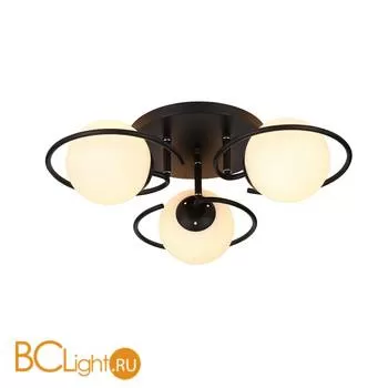 Потолочная люстра ST Luce Galio SL418.402.03