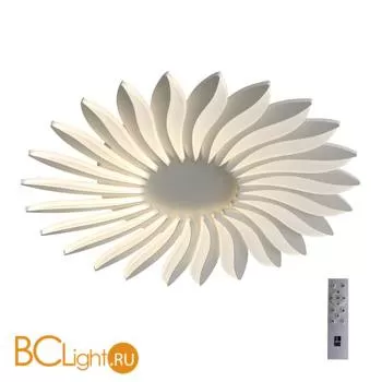 Потолочный светильник ST Luce Girasole SL836.502.24