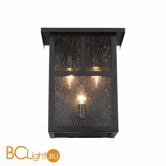 Настенный светильник ST Luce Glazgo SL079.401.03