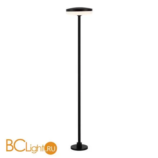Садово-парковый фонарь ST Luce GLIMER SL9524.405.01