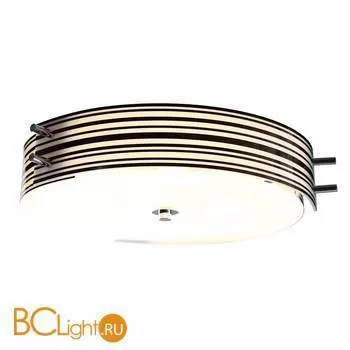 Потолочный светильник ST Luce SL484.542.04