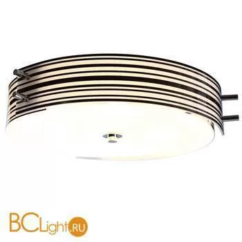 Потолочный светильник ST Luce SL484.542.06