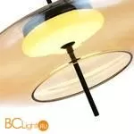 Подвесной светильник ST Luce Helia SL6500.413.01 - Фото 1