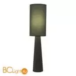 Напольный светильник ST Luce JACKIE SL1354.705.01