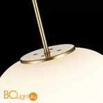 Подвесной светильник ST Luce Lacus SL1621.213.01 - Фото 3