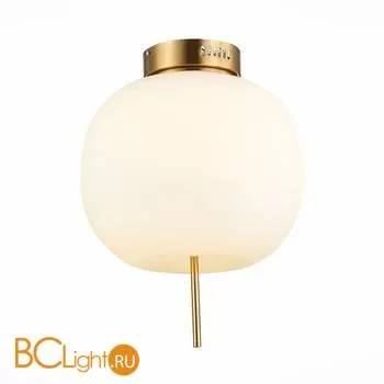 Потолочный светильник ST Luce Lacus SL1621.202.01