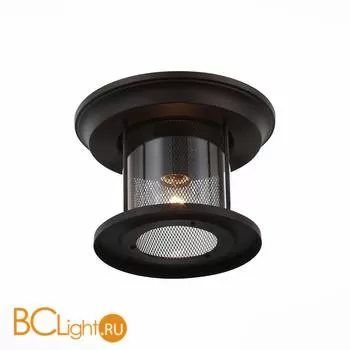 Уличный потолочный светильник ST Luce Lastero SL080.402.01