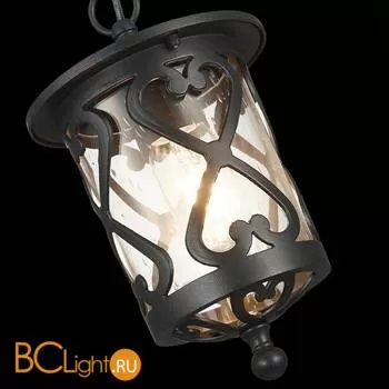 Уличный подвесной светильник ST Luce Lorne SL085.403.01 - Фото 4