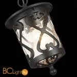 Уличный подвесной светильник ST Luce Lorne SL085.403.01 - Фото 4
