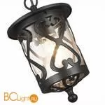 Уличный подвесной светильник ST Luce Lorne SL085.403.01 - Фото 1
