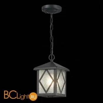 Уличный подвесной светильник ST Luce Lorne SL084.403.01 - Фото 2