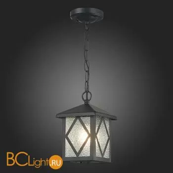 Уличный подвесной светильник ST Luce Lorne SL084.403.01 - Фото 5