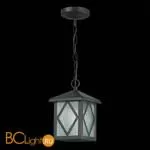 Уличный подвесной светильник ST Luce Lorne SL084.403.01 - Фото 3