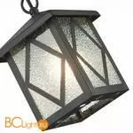 Уличный подвесной светильник ST Luce Lorne SL084.403.01 - Фото 1