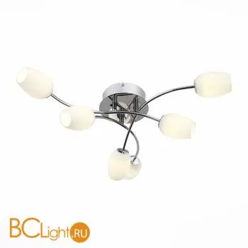Потолочная люстра ST Luce Luna SL478.102.06