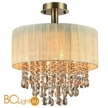 Потолочный светильник ST Luce SL893.532.05