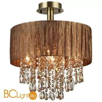 Потолочный светильник ST Luce SL893.732.05