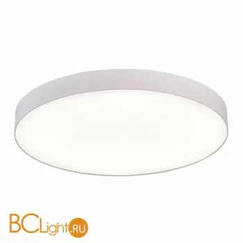 Потолочный светильник ST Luce Накладные светильники ST606.542.96