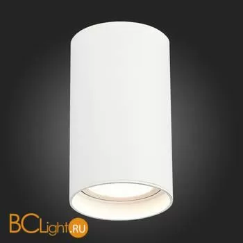 Спот ST Luce Накладные светильники ST157.542.20 - Фото 2