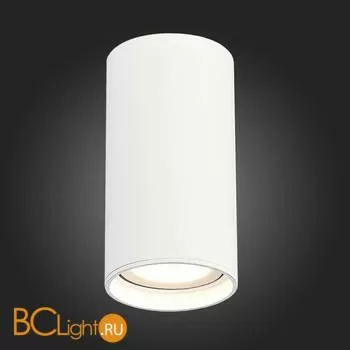 Спот ST Luce Накладные светильники ST157.532.15 - Фото 2