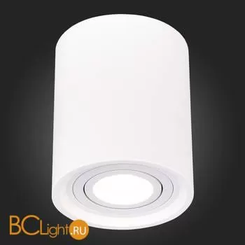 Спот ST Luce Накладные светильники ST156.502.01 - Фото 3