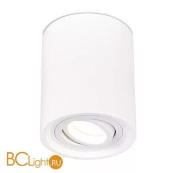 Спот ST Luce Накладные светильники ST156.502.01 - Фото 1