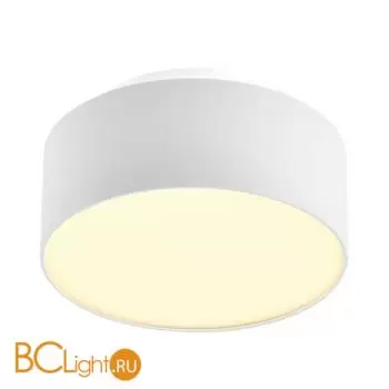 Потолочный светильник ST Luce Накладные светильники ST166.542.17