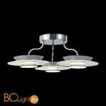 Потолочная люстра ST Luce Netto SL568.102.03 - Фото 1