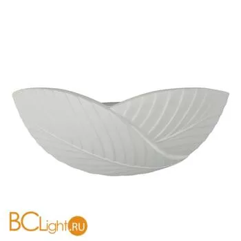 Настенный светильник ST Luce Nivea SL579.501.01