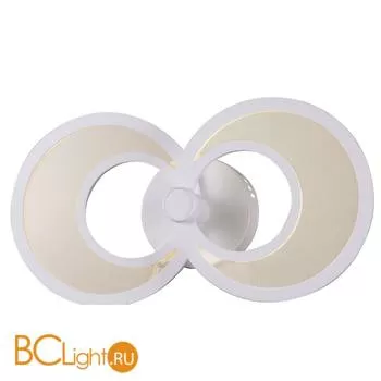 Настенный светильник ST Luce Nola SL898.501.02