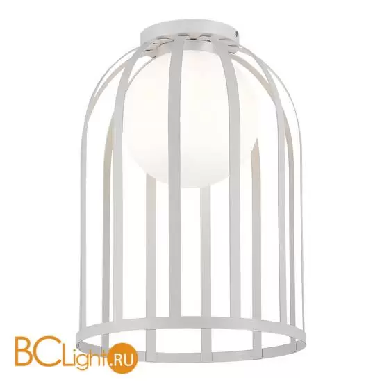 Потолочный светильник ST Luce NORDIC SL6129.502.01