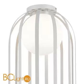 Потолочный светильник ST Luce NORDIC SL6129.502.01 - Фото 1