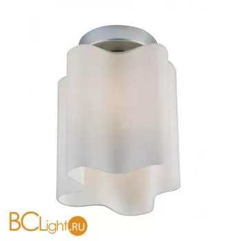 Потолочный светильник ST Luce SL116.502.01