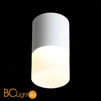 Потолочный светильник ST Luce Ottu ST100.502.05 3000K 390Lm