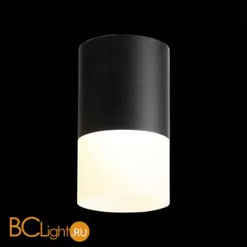 Потолочный светильник ST Luce Ottu ST100.442.10 - Фото 1