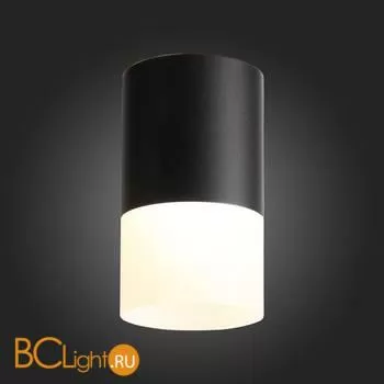 Потолочный светильник ST Luce Ottu ST100.442.10 - Фото 3