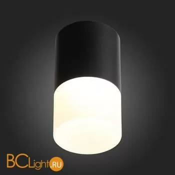 Потолочный светильник ST Luce Ottu ST100.442.10 - Фото 4