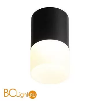 Потолочный светильник ST Luce Ottu ST100.442.10 - Фото 0