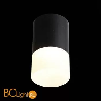 Потолочный светильник ST Luce Ottu ST100.442.05 - Фото 2