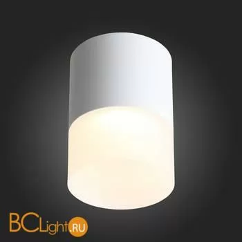 Потолочный светильник ST Luce Ottu ST100.542.15 - Фото 4