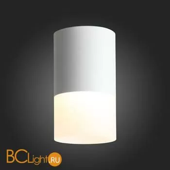 Потолочный светильник ST Luce Ottu ST100.542.10 - Фото 3