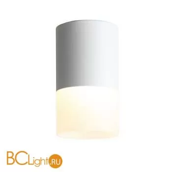 Потолочный светильник ST Luce Ottu ST100.542.10